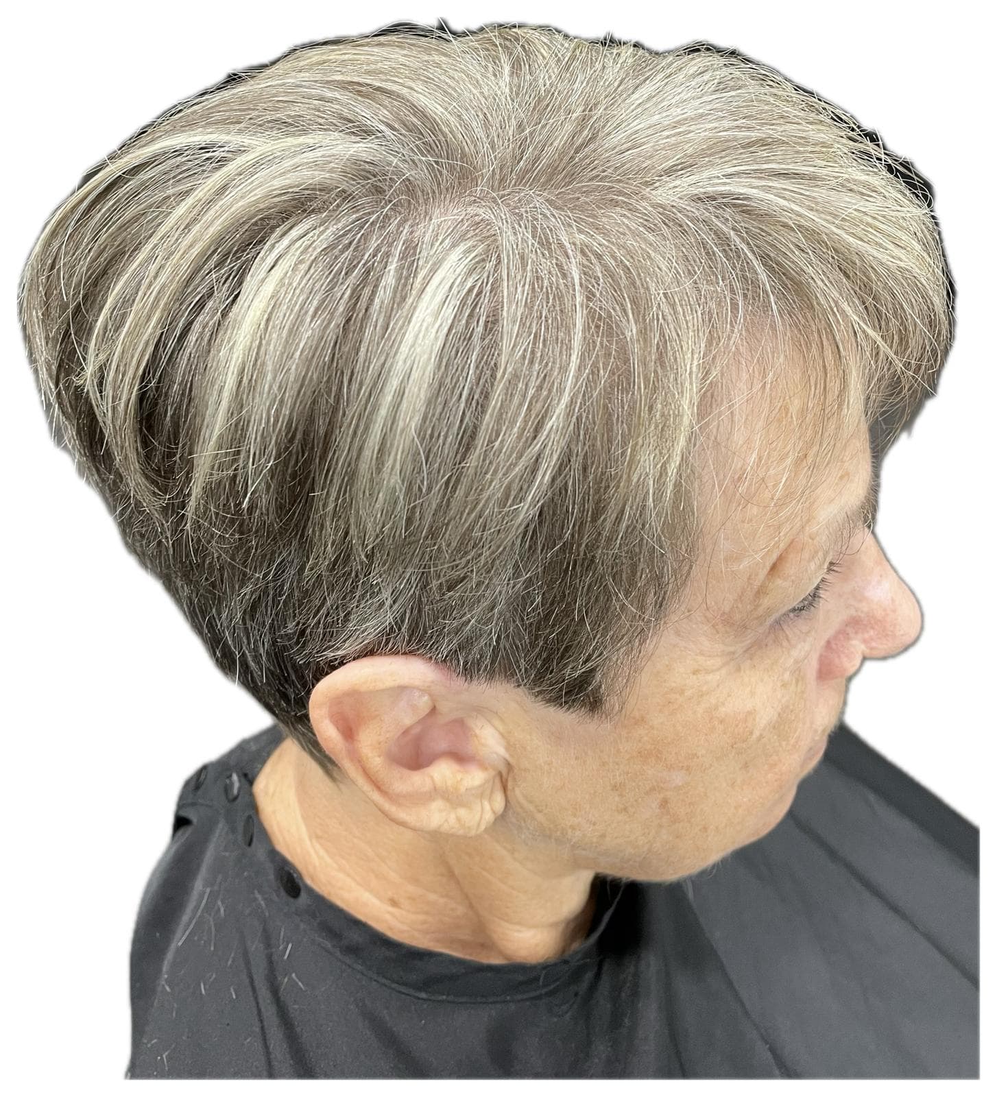 Diplomat Salon 8